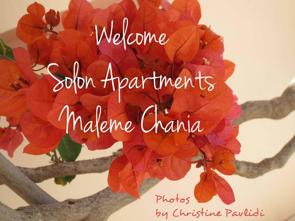 Solon Apartments Maleme Exterior foto